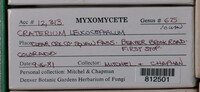 Image Associated With the Occurence